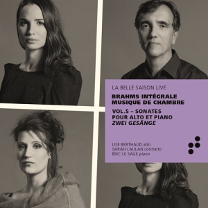 Brahms Johannes - Integrale Musique De Chambre - Sona in the group CD / New releases / Classical at Bengans Skivbutik AB (3728693)