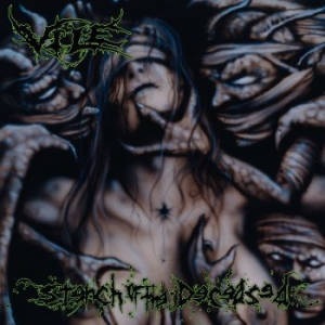 VILE - STENCH OF THE DECEASED in the group VINYL / Hårdrock at Bengans Skivbutik AB (3728935)