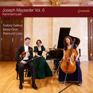 Mayseder Joseph - Joseph Mayseder, Vol. 6 - Kammermus in the group CD / New releases / Classical at Bengans Skivbutik AB (3729148)