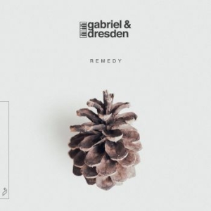 Gabriel & Dresden - Remedy in the group VINYL / Pop-Rock at Bengans Skivbutik AB (3729551)