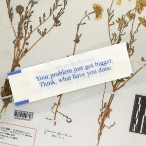 Moss Elliot - A Change In Diet in the group OTHER / Övrigt /  at Bengans Skivbutik AB (3729582)