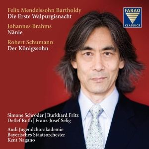 Mendelssohn Bartholdy/Brahms/Schuma - Mendelssohn Bartholdy/Brahms in the group Externt_Lager / at Bengans Skivbutik AB (3731554)