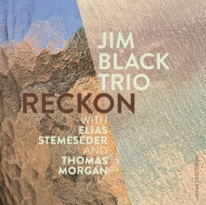 Jim Black Trio - Reckon in the group OTHER / Övrigt /  at Bengans Skivbutik AB (3733841)