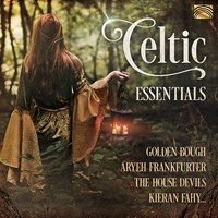 Various - Celtic Essentials in the group CD / Elektroniskt,World Music at Bengans Skivbutik AB (3733856)