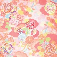 Miracle Fortress - Five Roses in the group CD / Rock at Bengans Skivbutik AB (3734159)