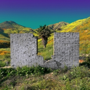 Shopping - All Or Nothing in the group VINYL / Pop-Rock at Bengans Skivbutik AB (3734323)