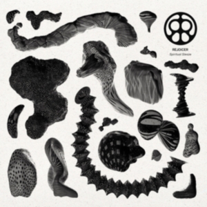 Rejoicer - Spiritual Sleaze in the group OTHER / Övrigt /  at Bengans Skivbutik AB (3734333)