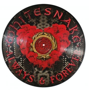 Whitesnake - Always & Forever (Ltd Ed Picture Di in the group VINYL / Upcoming releases / Hardrock/ Heavy metal at Bengans Skivbutik AB (3734527)
