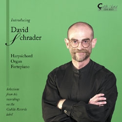 Various - Introducing David Schrader in the group Externt_Lager /  at Bengans Skivbutik AB (3734572)