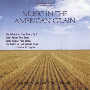 Various - Music In The American Grain in the group Externt_Lager /  at Bengans Skivbutik AB (3734589)