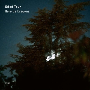 Tzur Oded - Here Be Dragons (Lp) in the group Externt_Lager /  at Bengans Skivbutik AB (3736663)