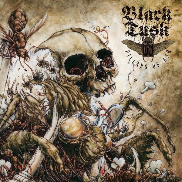 Black Tusk - Pillars Of Ash in the group CD / Hårdrock/ Heavy metal at Bengans Skivbutik AB (3741802)