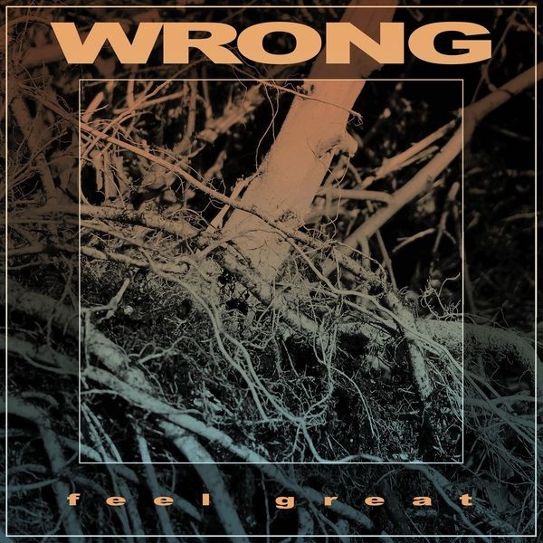 Wrong - Feel Great in the group CD / Hårdrock/ Heavy metal at Bengans Skivbutik AB (3741840)