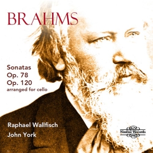 Brahms Johannes - Sonatas, Opp. 78 & 120 (Arranged Fo in the group Externt_Lager /  at Bengans Skivbutik AB (3743338)