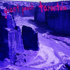 Giant Peach - Tarantula in the group VINYL / Rock at Bengans Skivbutik AB (3744345)