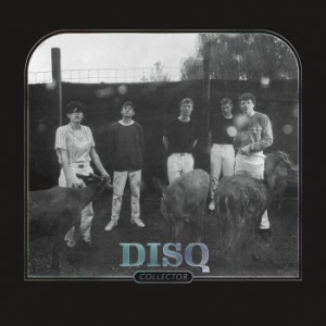 Disq - Collector in the group CD / Upcoming releases / Pop at Bengans Skivbutik AB (3746576)
