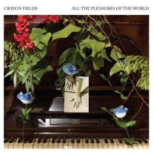 Crayon Fields - All The Pleasures Of The World (Blu in the group VINYL / Pop-Rock at Bengans Skivbutik AB (3747730)