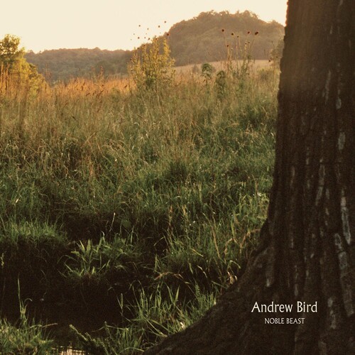Andrew Bird - Noble Beast in the group VINYL / Pop at Bengans Skivbutik AB (3753735)