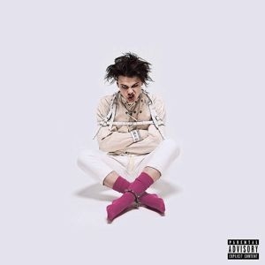 Yungblud - 21st Century Liability in the group VINYL / Rock at Bengans Skivbutik AB (3754555)