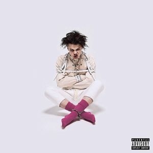 Yungblud - 21st Century Liability in the group VINYL / Pop-Rock at Bengans Skivbutik AB (3754555)