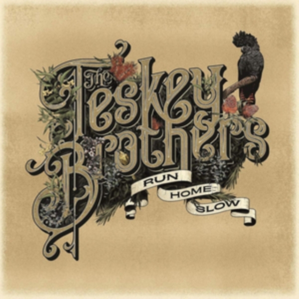 Teskey Brothers - Run Home Slow in the group CD / Bestsellers at Bengans Skivbutik AB (3756007)