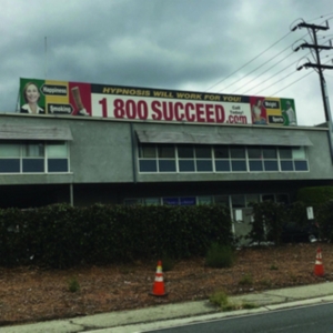 Media Jeweler - 1 800 Succeed (Limited Color Vinyl) in the group OTHER / Övrigt /  at Bengans Skivbutik AB (3759495)