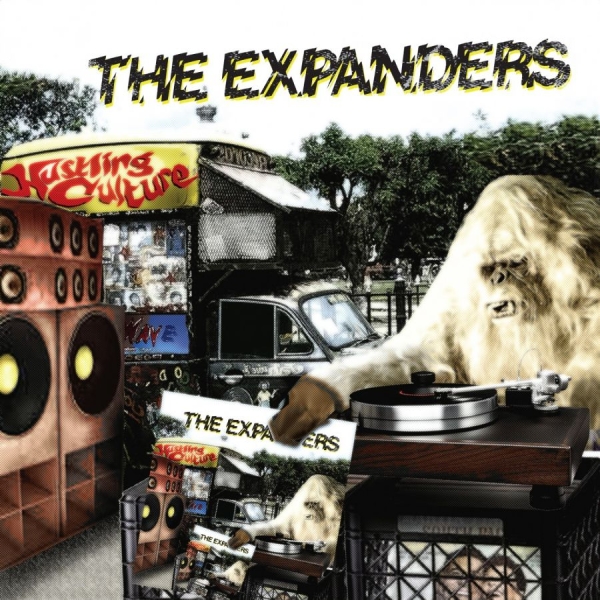 Expanders - Hustling Culture in the group VINYL / Bestsellers at Bengans Skivbutik AB (3762068)