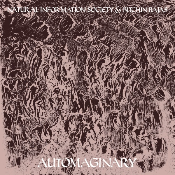 Bitchin Bajas & Natural Information - Automaginary in the group VINYL / Bestsellers at Bengans Skivbutik AB (3763842)