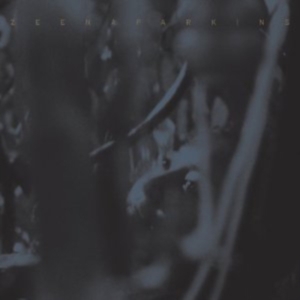 Zeena Parkins - Double Dupe Down in the group OTHER / Övrigt /  at Bengans Skivbutik AB (3764440)