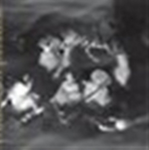 Phantom Orchard Orchestra - Trouble In Paradise in the group OTHER / Övrigt /  at Bengans Skivbutik AB (3764580)