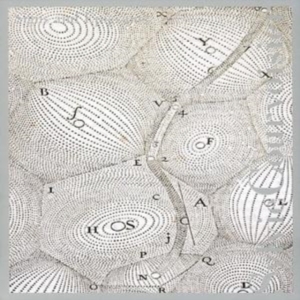 Sylvie Courvoisier - Signs And Epigrams in the group OTHER / Övrigt /  at Bengans Skivbutik AB (3764623)