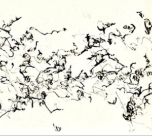 Zorn John - There Is No More Firmament in the group OTHER / Övrigt /  at Bengans Skivbutik AB (3764798)