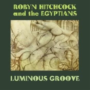 Hitchcock Robyn - Luminous Groove Box Set in the group CD / Rock at Bengans Skivbutik AB (3768776)