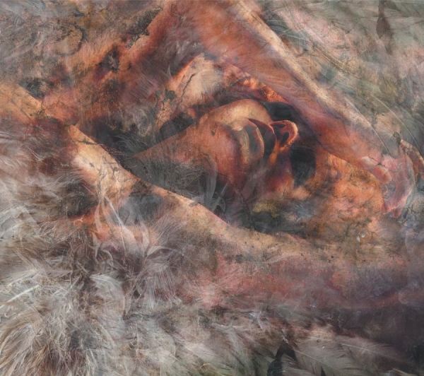 Converge - Unloved And Weeded Out in the group CD / Bestsellers at Bengans Skivbutik AB (3768804)