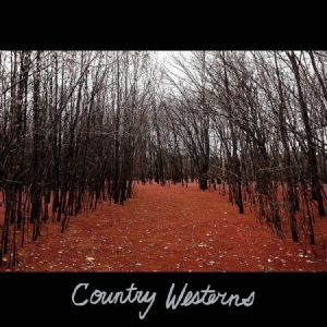 Country Westerns - Country Westerns in the group VINYL / Pop-Rock at Bengans Skivbutik AB (3771186)