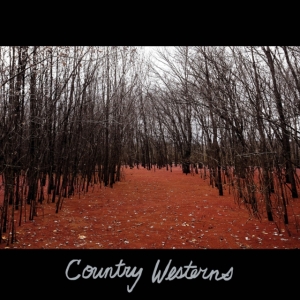 Country Westerns - Country Westerns in the group CD / Pop-Rock at Bengans Skivbutik AB (3771252)
