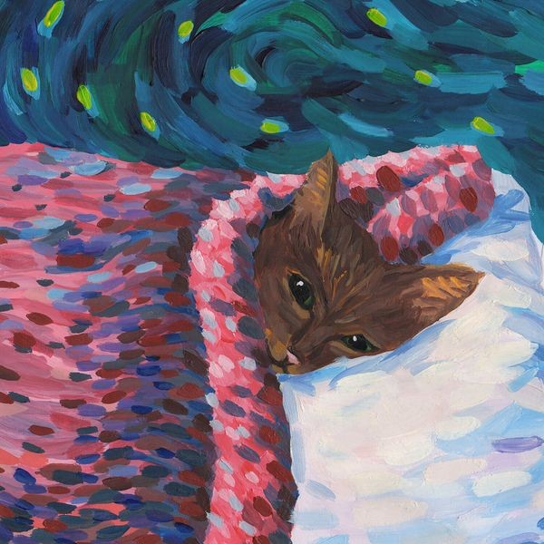 Cavetown - Sleepyhead in the group CD / Pop-Rock at Bengans Skivbutik AB (3772989)