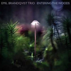 Brandqvist Emil - Entering The Woods in the group VINYL / Jazz at Bengans Skivbutik AB (3774120)