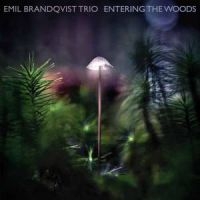 Brandqvist Emil - Entering The Woods in the group CD / Jazz at Bengans Skivbutik AB (3774127)