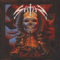 Nichols Jared James - Old Glory And Wild Revival in the group VINYL / Pop-Rock at Bengans Skivbutik AB (3774326)