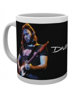 David Gilmour - Live Photo Mug in the group OTHER / Merch Mugs at Bengans Skivbutik AB (3778745)