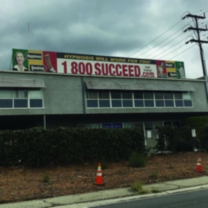 Media Jeweler - 1 800 Succeed in the group OTHER / Övrigt /  at Bengans Skivbutik AB (3780697)