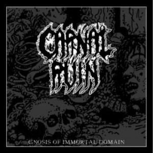 Carnal Ruin - Gnosis Of Immortal Domain (Vinyl) in the group VINYL / Hårdrock at Bengans Skivbutik AB (3780748)