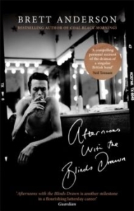 Brett Anderson - Afternoons With The Blinds Drawn in the group OUR PICKS / Recommended Music Books at Bengans Skivbutik AB (3782212)