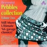 Various Artists - Essential Pebbles Vol. 2 in the group CD / Pop-Rock at Bengans Skivbutik AB (3782640)