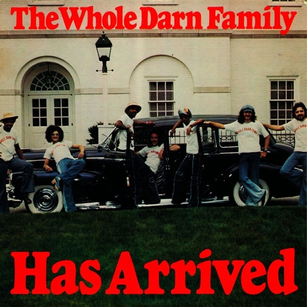 Whole Darn Family - Has Arrived in the group VINYL / Pop-Rock at Bengans Skivbutik AB (3782955)
