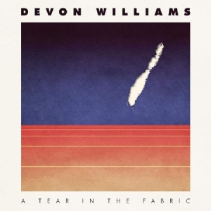 Williams Devon - A Tear In The Fabric in the group VINYL / Pop-Rock at Bengans Skivbutik AB (3783683)