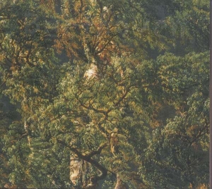 Beethoven Ludwig Van - Cello Sonatas in the group Externt_Lager / at Bengans Skivbutik AB (3787630)