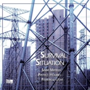 Sabir Mateen Patrick Holmes Federic - Survival Situation in the group VINYL / Pop-Rock at Bengans Skivbutik AB (3788054)