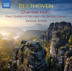 Beethoven Ludwig Van - Chamber Music (2Cd) in the group CD / Upcoming releases / Classical at Bengans Skivbutik AB (3788261)